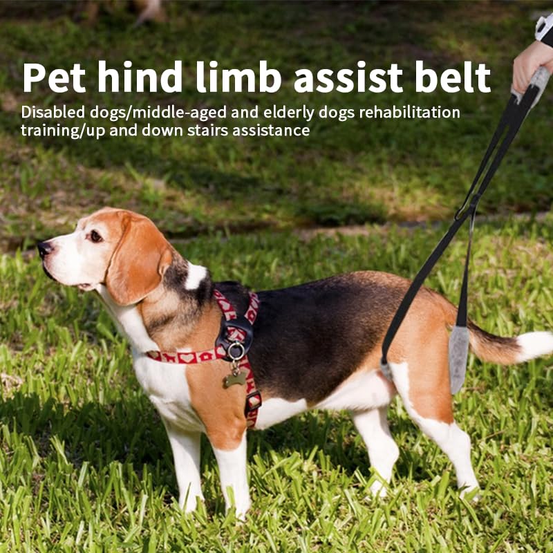 Dog Lifting Harness, Adjustable Assistance Dog Harness Dog Sling Leg Support for Injured Disabled Elderly Dogs Walking Aid - Image 6