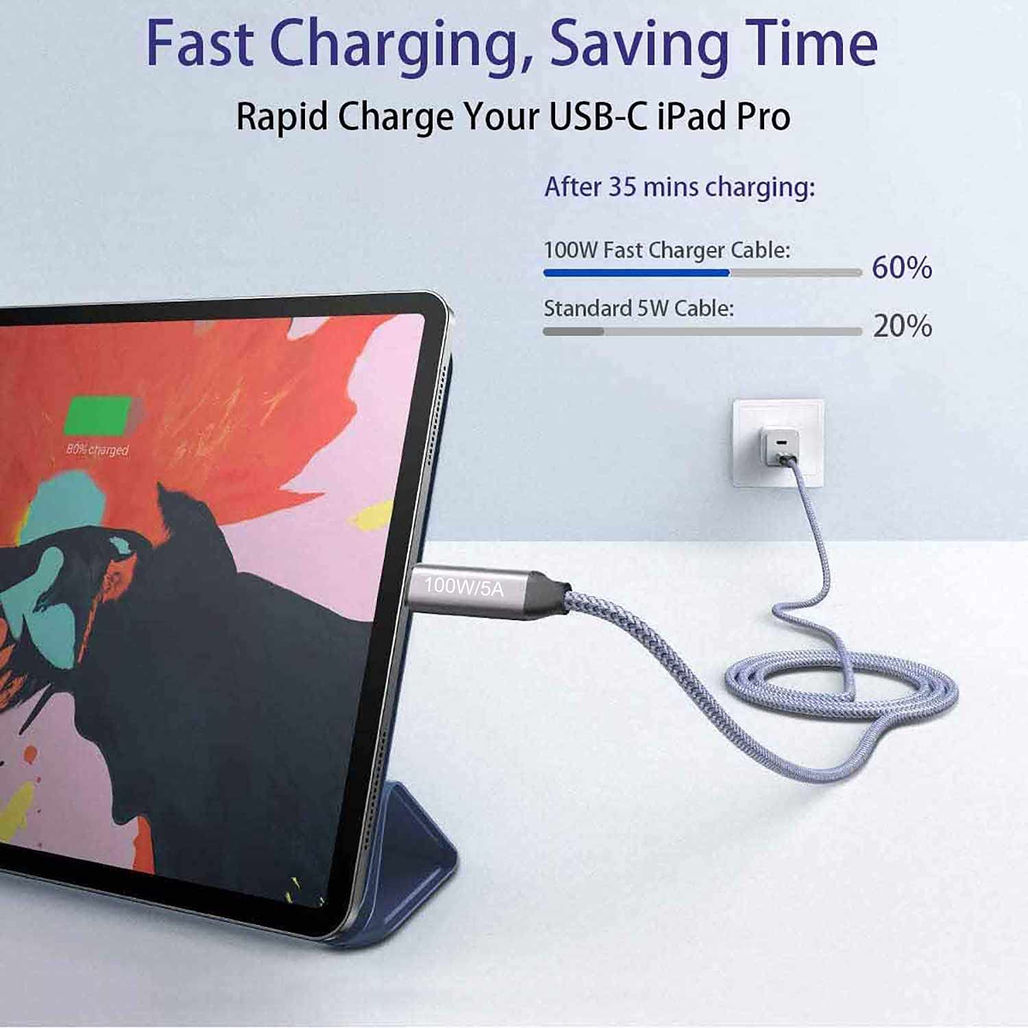 Cavo USB c 20ft 100w