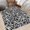 Amazon.com: DVKKHD 3x5 Rug for Living Room Decor, Black and White Money ...