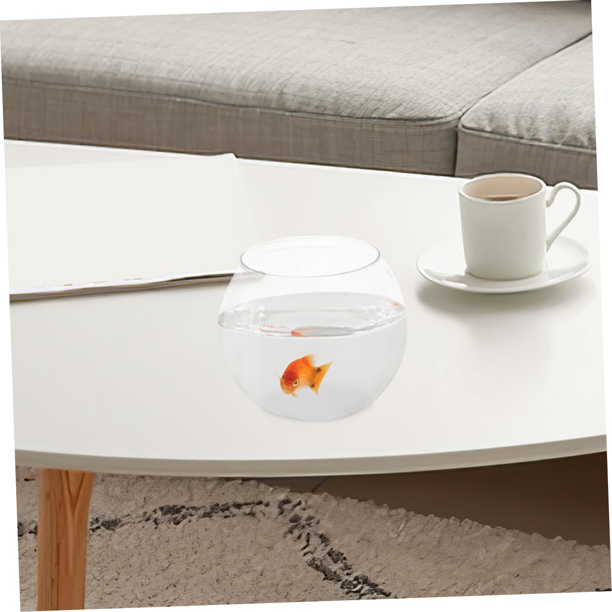 Transparentes Fischglas Mikro Landschaftscontainer Kunststoff Geschenkideen
