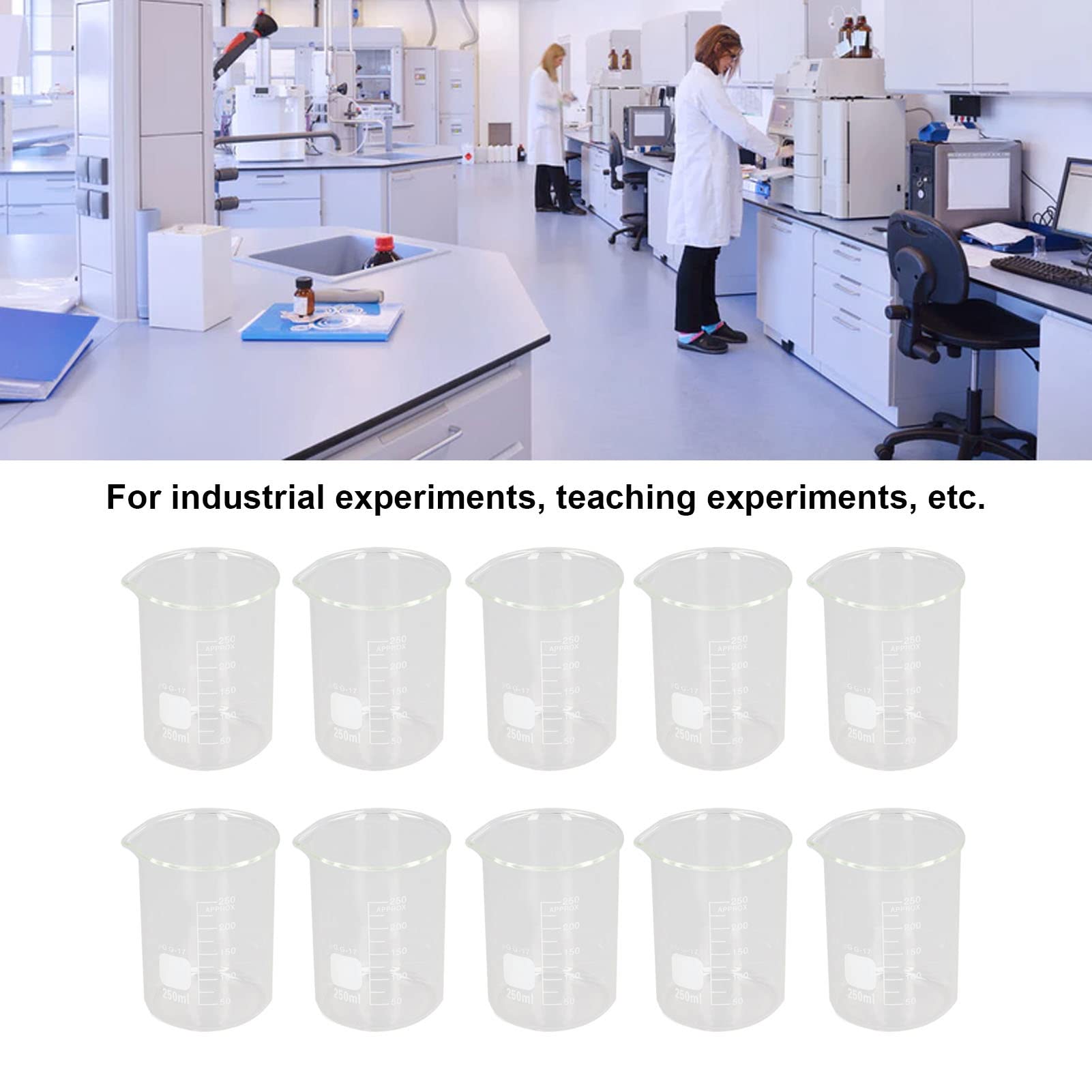 Scientific Glass Beaker Set 10Pcs Large Capacity 250ml Clear Scale Tool Kit for Experiment Industrial Teaching Home Use