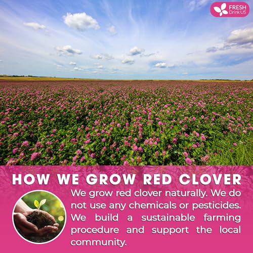 Image of FreshDrinkUS, Premium Red Clover Herbal Tea- 75 Tea Bags - Pure - Naturally Smooth & Mild Flavor - Premium Quality, Eco-Conscious Packaging. Caffeine-Free. Gluten Free. Vegan