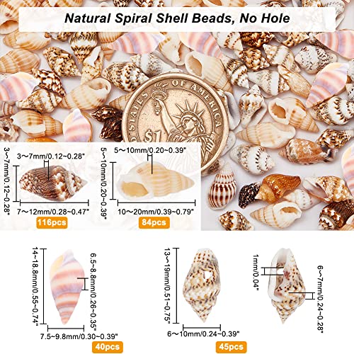 PH PandaHall 260pcs 4 Styles Mini Seashells - Image 4