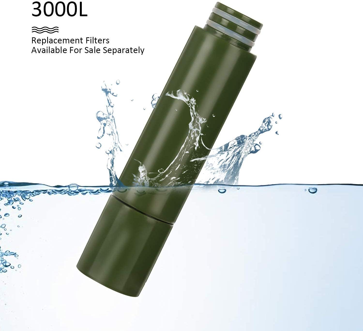 Purewell Water Filter Pump and Replaceable Water Filter