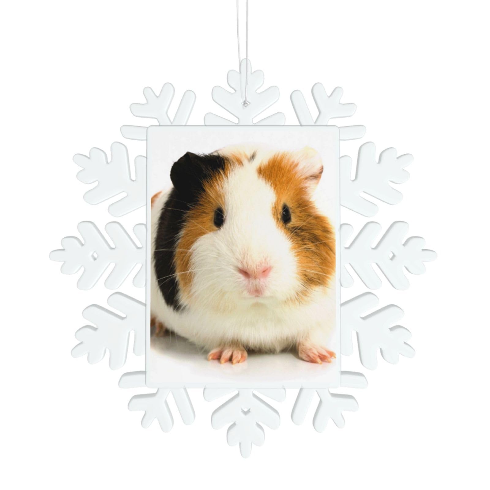 Cute Guinea Pig Snowflake Decorations Christmas Decorations Christmas Tree Decorations Outdoor Christmas Decorations Indoor Personalised Christmas Decorations