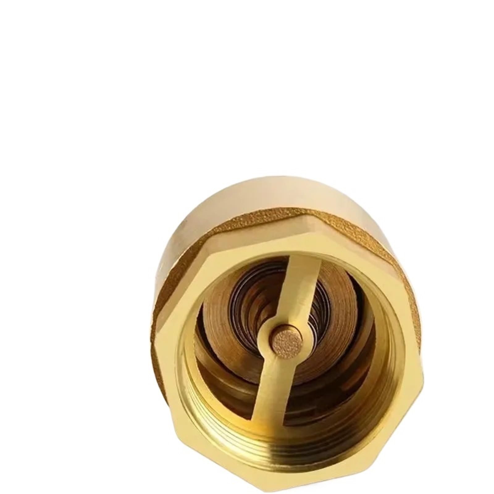 Dkgnyxnplj 3L4 Inch 1Pcs Dn15/Dn20/Dn25 Brass Thread In-Line Spring Check Valve 25Mm(3L4 Inch)