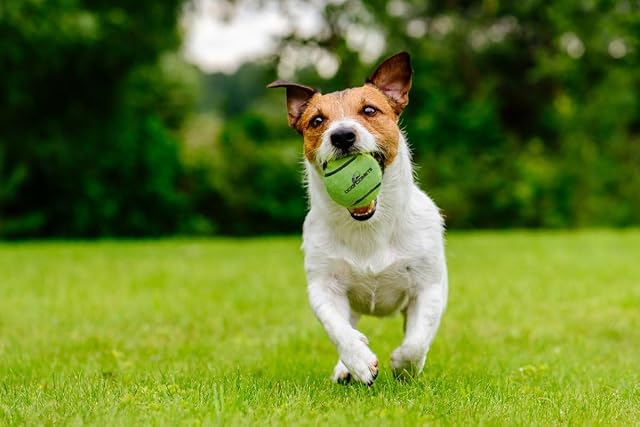 Foto 2 de 2 de Dog Comets Tennisbal Starlight M Groen