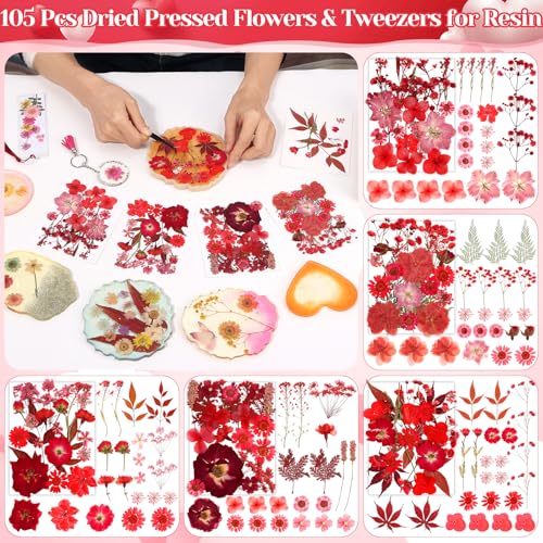 Image of Pressed Dried Flowers for Resin, Natural Real Dried Pressed Flowers for Crafts, Bulk Dry Flowers for Resin Molds, Candles, DIY Art Jewelry Making with Tweezers (Red Love Pressed Flowers)