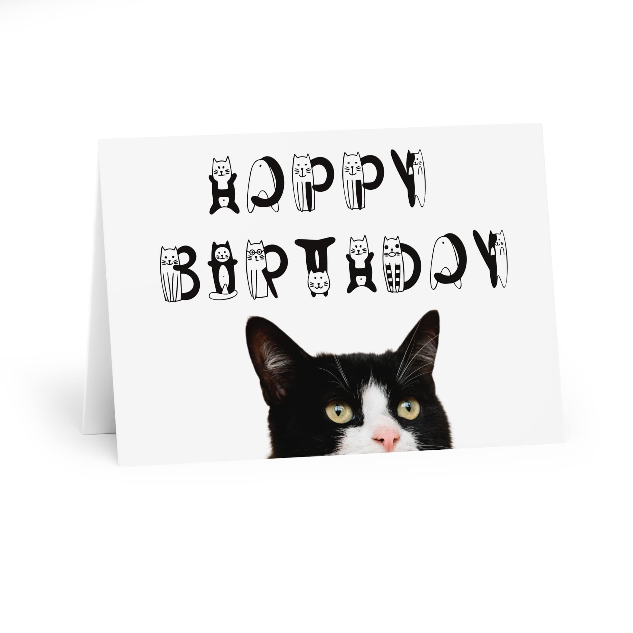 Carte D'anniversaire Chat Et Livres | Carte De Joyeux Anniversaire De Chat  Noir | Carte D'anniversaire Chat Livres | Carte D'anniversaire Pour  Amoureux Des Livres Et Des Chats | Ami Carte De, image size:2048x2048