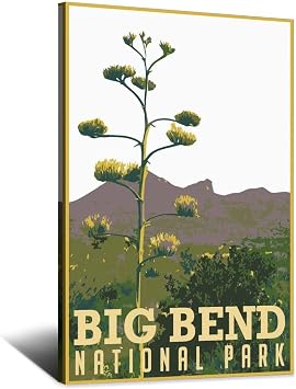 SDFSD Big Bend National Park Texas Vintage Travel Poster Decorative Posters Modern Bedroom Office Family Canvas Art Poster Picture Painting Posters Wall Decor Art Gift 12x18inchs30x45cm