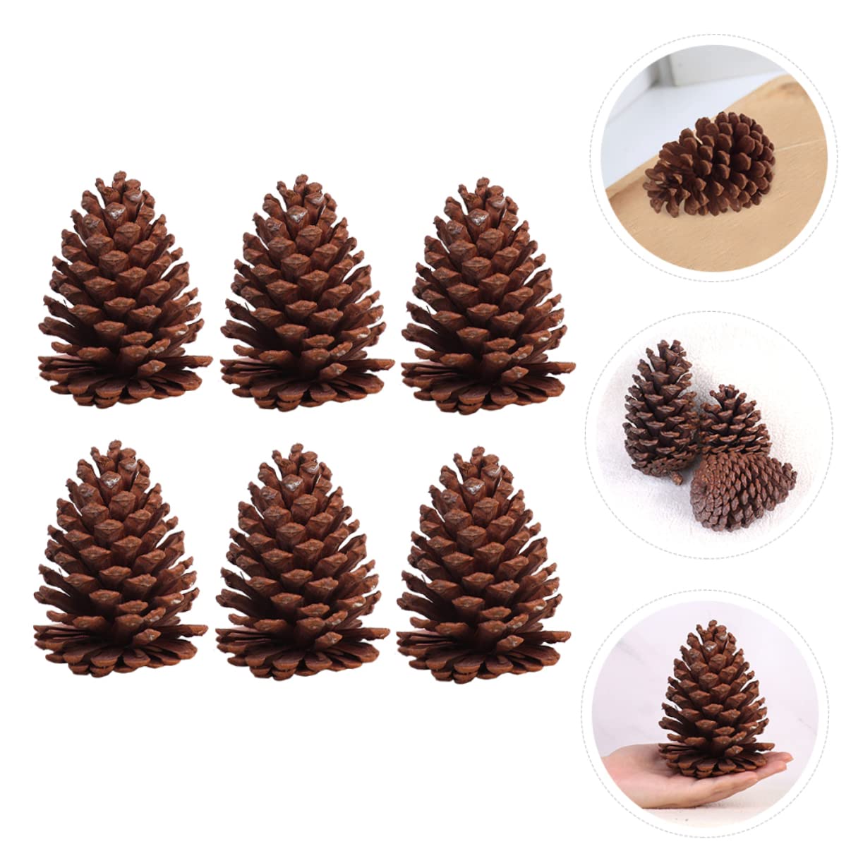 IMIKEYA Getrocknete Kiefernzapfen Tannenzapfen aus Naturholz 6 Stück Braun für Weihnachtliche Indoor und Selbstgemacht Bastelprojekte
