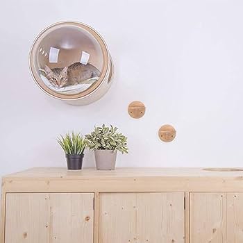 置物 catwalk image1-1-sp.jpg