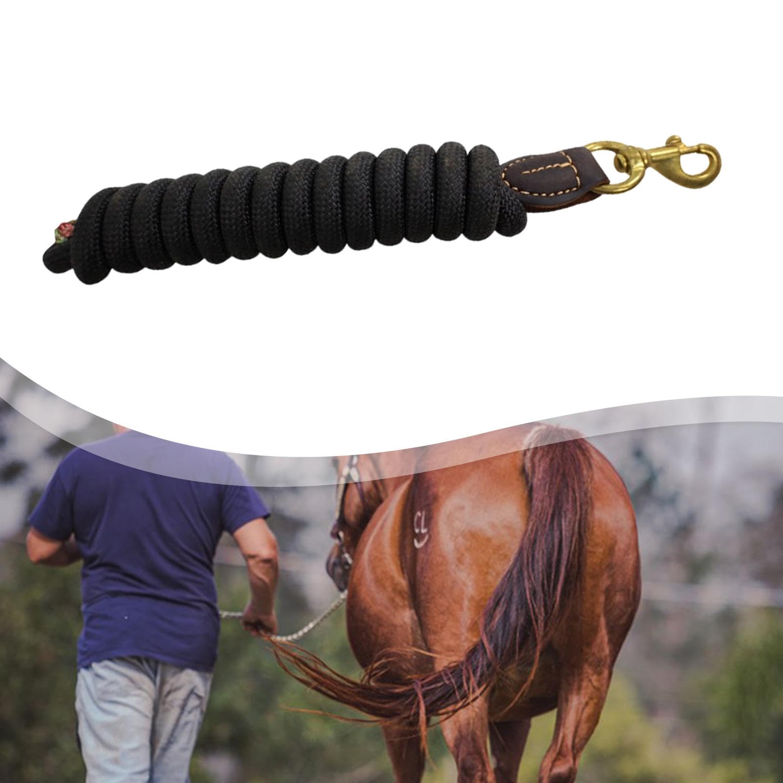 Sharplace Corda, Forniture equestri, redini, guinzaglio in Nylon per addestramento Cavalli, per, esibire, Uso Quotidiano, obbedienza, Nero