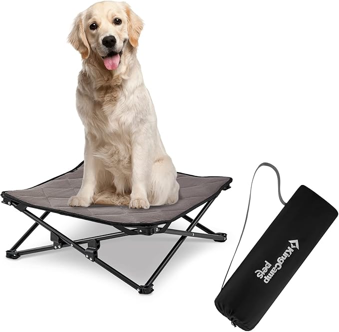 Guide To Find The Perfect Foldable Elevated Dog Bed With Reviews