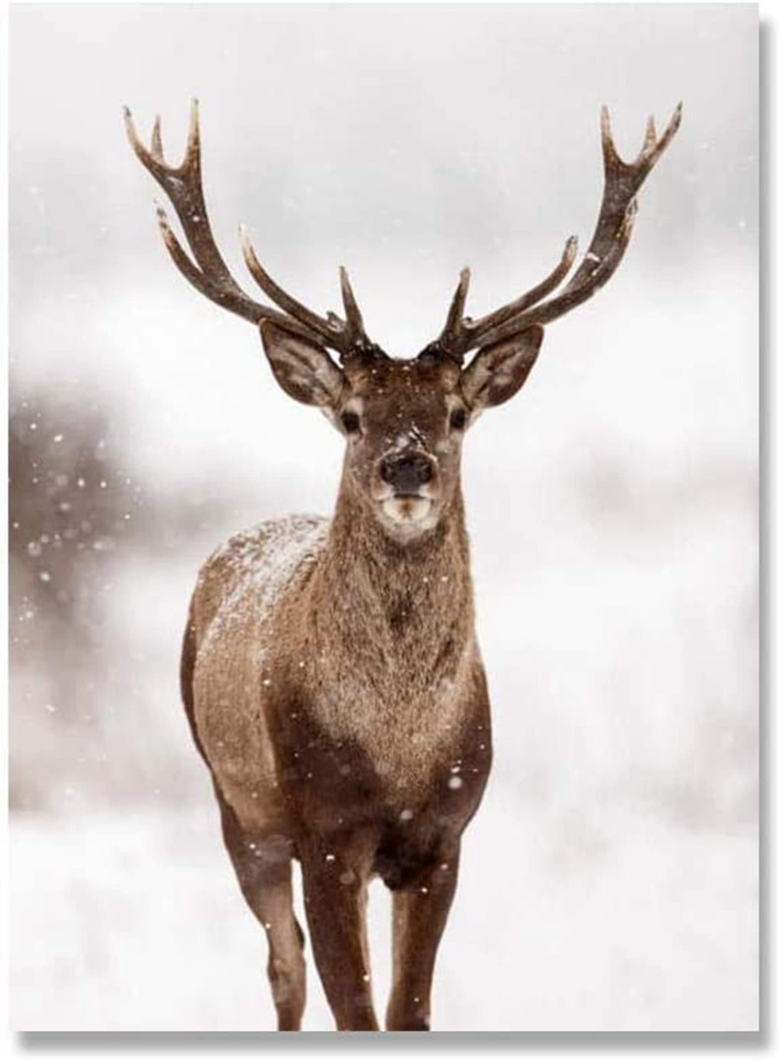 Tableau Toile De Décoration Murale Impression Premium En 1 Partie Sur Chassis En Bois Motif Cerf Aquarelle 40x60 Cm 81989790