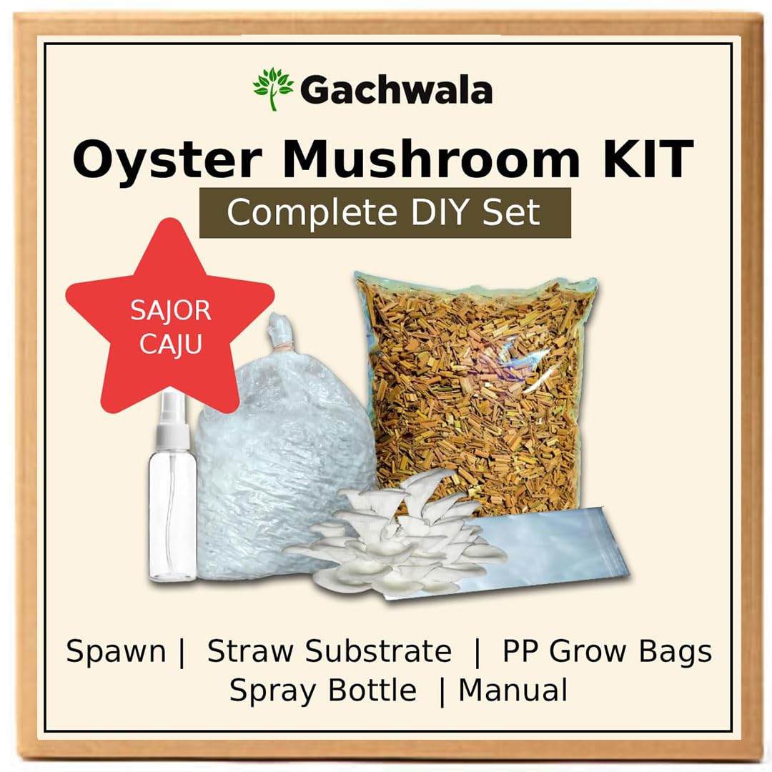 DIY Sajor Caju Mushroom Growing Kit | Indoor Pink Oyster Mushroom Cultivation Kit for Home | Grow Mushrooms Indoors | Home Mushroom Farm with Sajor Caju Spawn