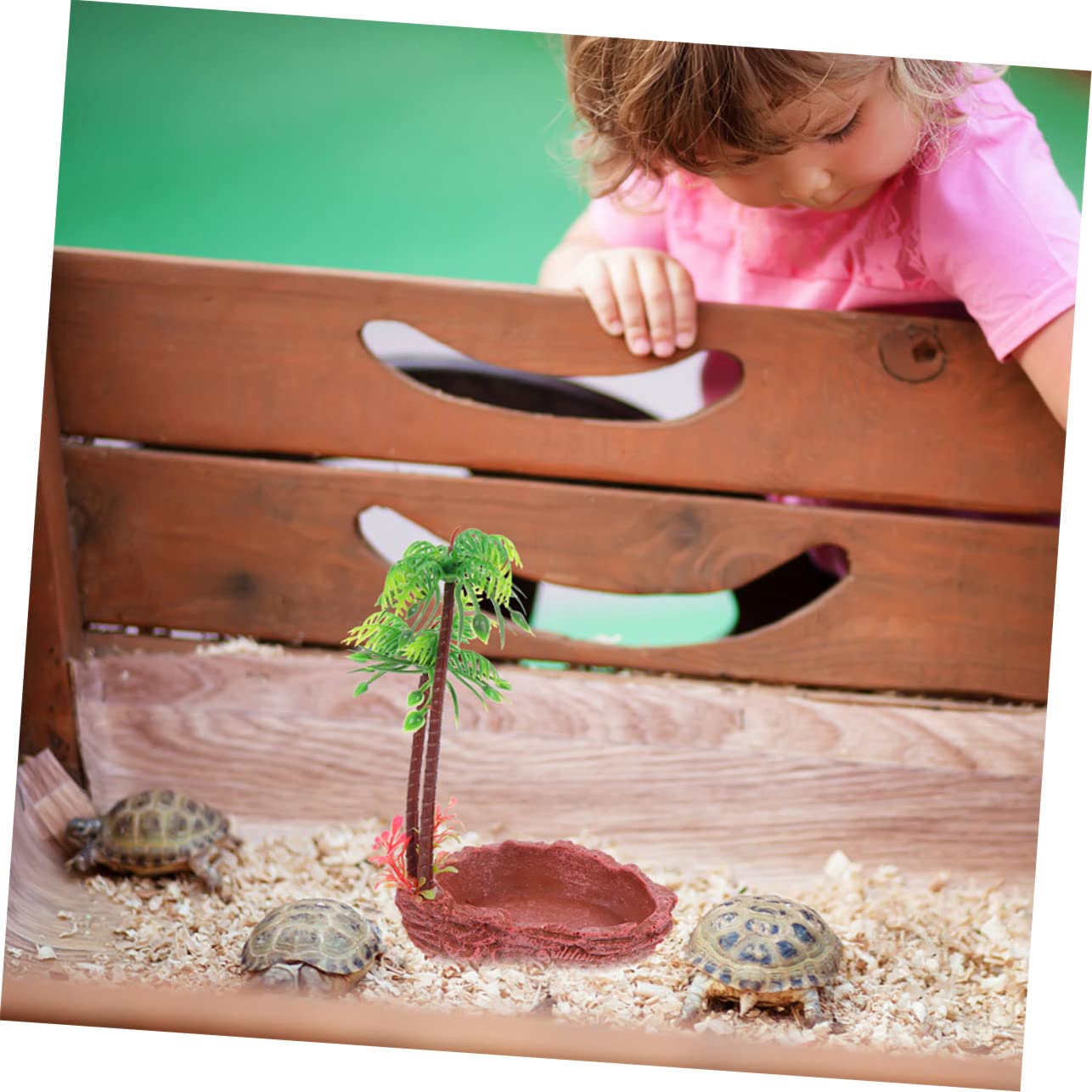 Hemoton 2Pcs Decorative Resin Water Dish for Reptiles Vivid Terrarium Feeding Bowl for Turtles Lizards and Snakes Natural Look Enhances Reptile Habitat