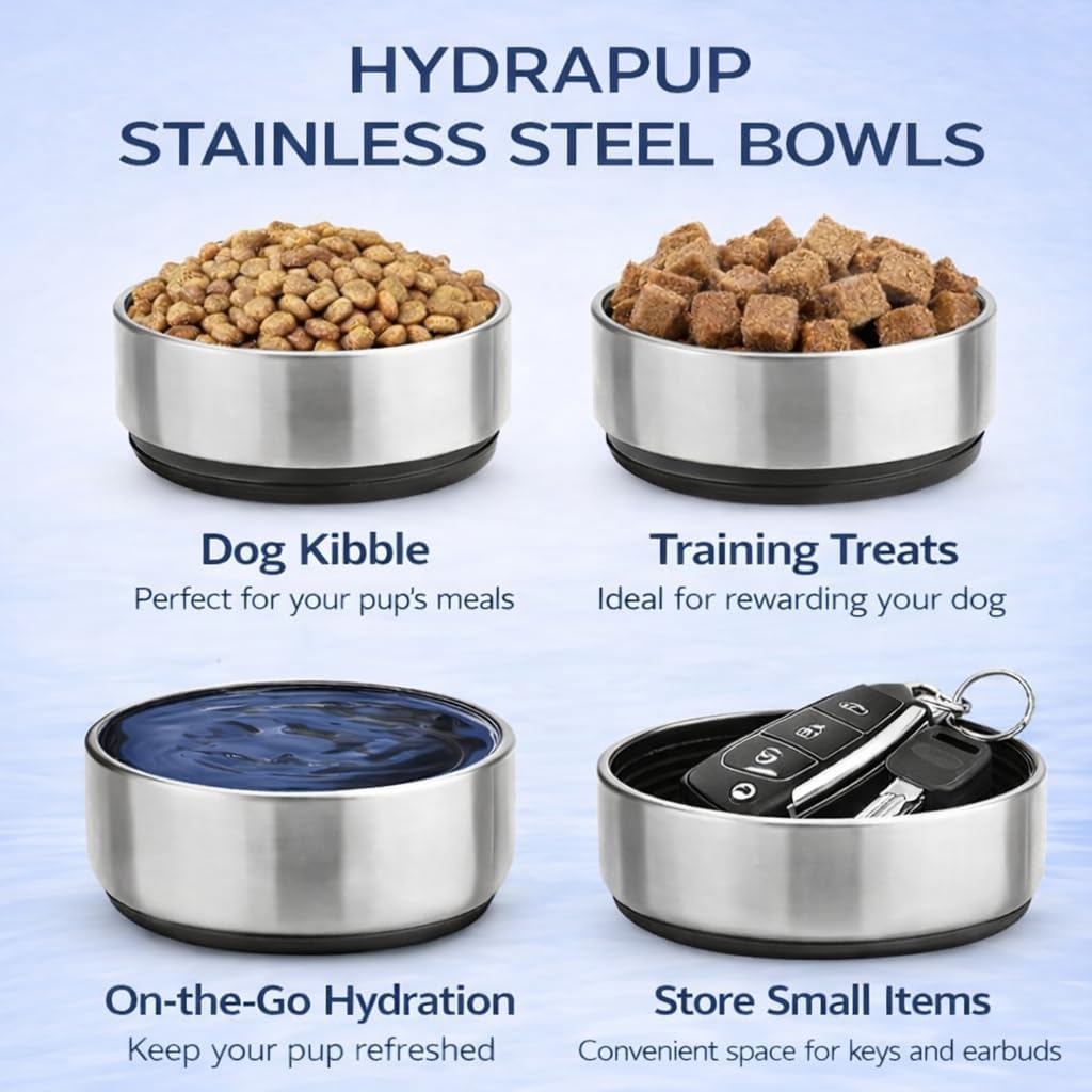 32oz Insulated Water Bottle with Dog Bowls – Human & Pet Shared Use, Stainless Steel Leakproof Travel Bottle (Sea Foam Blue)