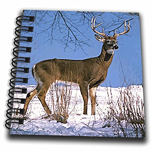 Bloc-notes cerf à queue blanche 3dRose petit carnet multicolore