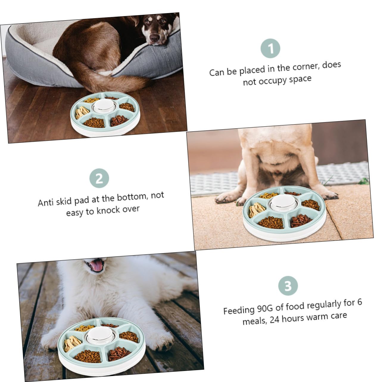 Comedero Automático Fácil de Limpiar y Ahorro de Espacio para Perros y Gatos 6 Comidas Programables Temporizador Inteligente Material Abs Verde Adecuado para Colocar Esquina