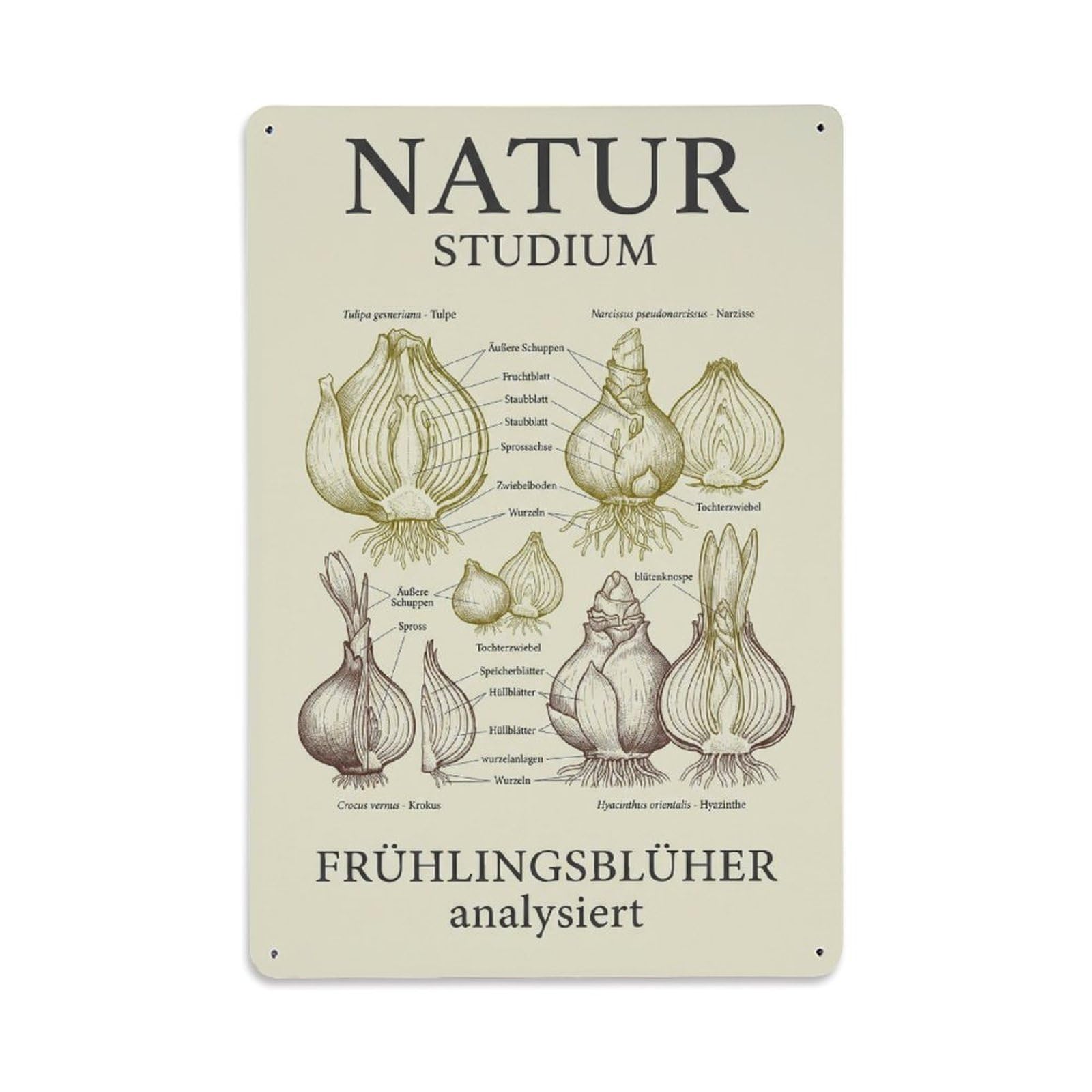 Vintage Funny Garden Nature Study Rustic Gate Springtime Metal Tin Sign