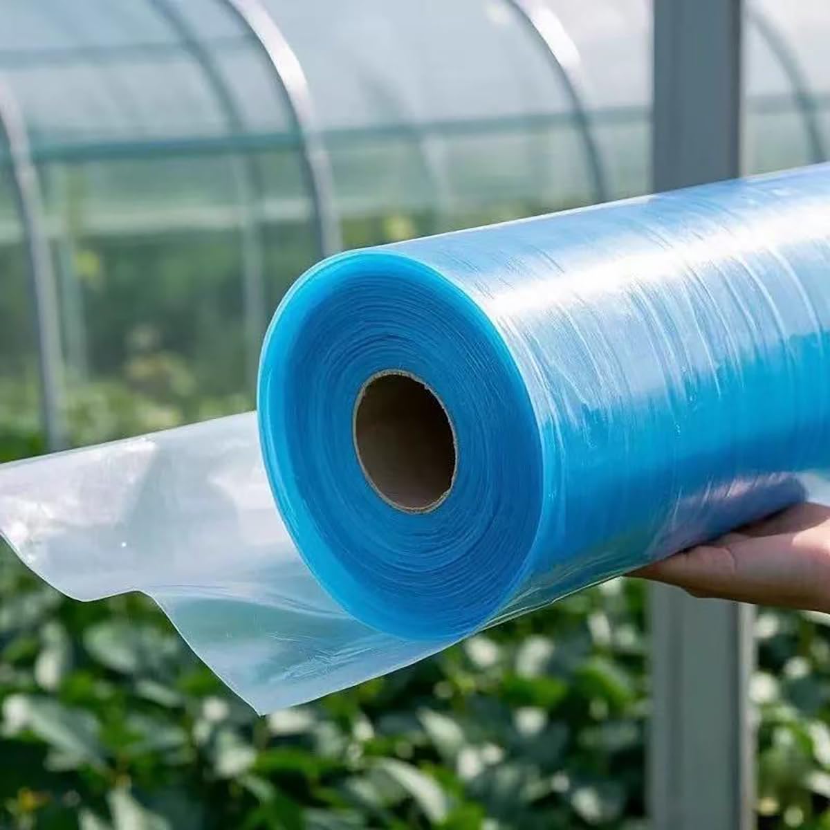 Telo Serra in Polietilene Rinforzato Resistente allo Strappo e ai Raggi UV, Film Professionale per Protezione Piante in Giardino, Orto e Balcone Giardino e Agricoltu(Size:5x10m/16.4x32.8ft,Color:Blu)