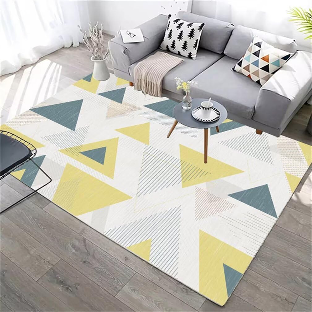 Tapis de salon lavable en machine 200x200 cm résistant à l'usure pour intérieur dynamique