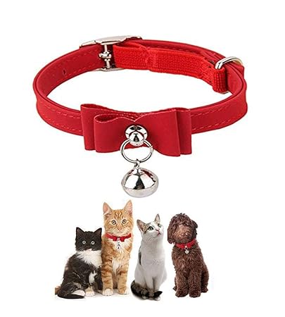 Cat neck belt online india Clearance