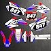Kit di adesivi per decalcomanie moto Adesivi Kit grafici per Honda CRF250 CRF250R 2004 2005 2006 2007 2008 2009 per Honda 250 CRF DAFEIJI (Color : As shown)