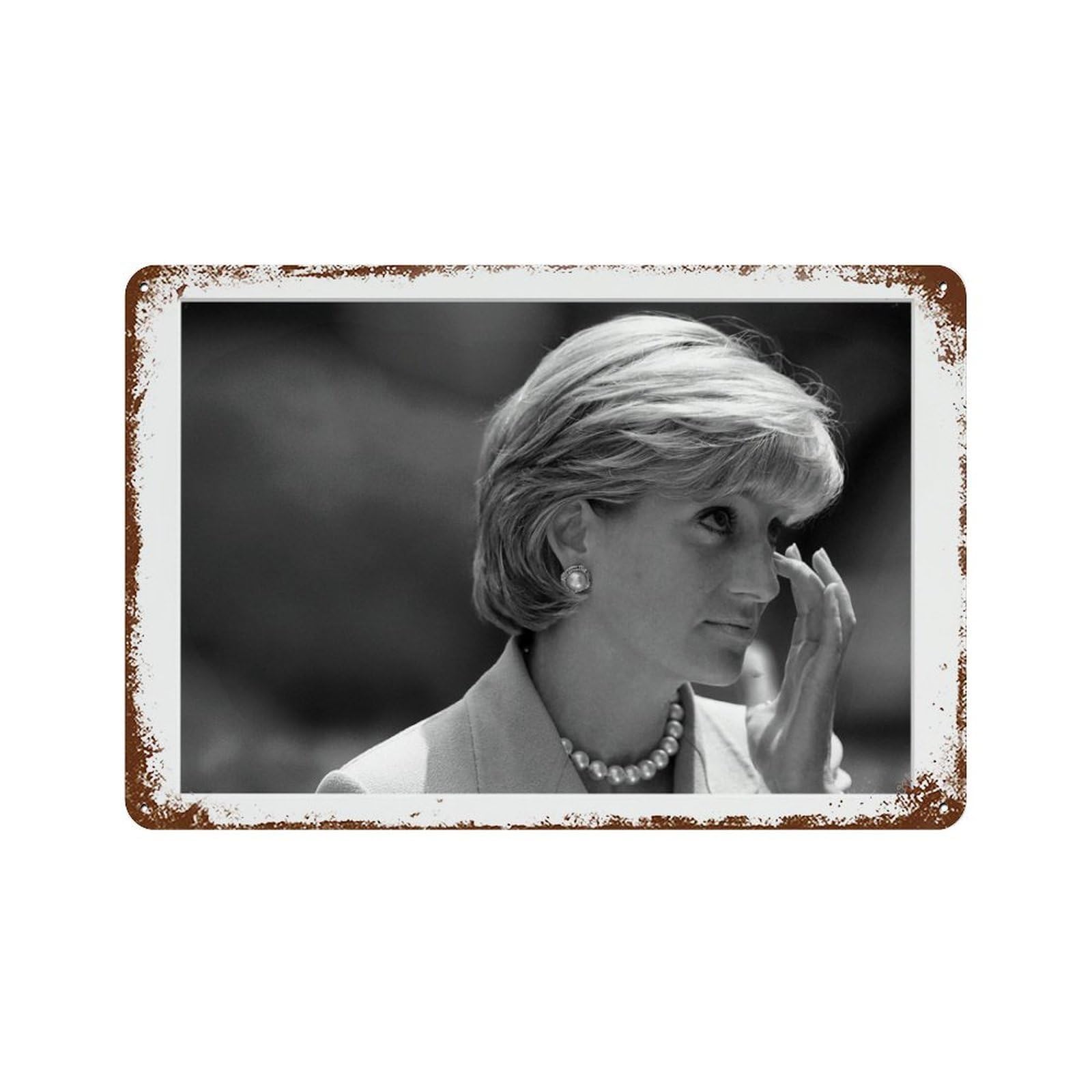 xiaoxiaoshen Lady Diana, Photography S1 Wall Decor Art Metal Tin Poster Modern Home Decor Art Home Bar Shop Decorations Vintage Sign 20x30cm