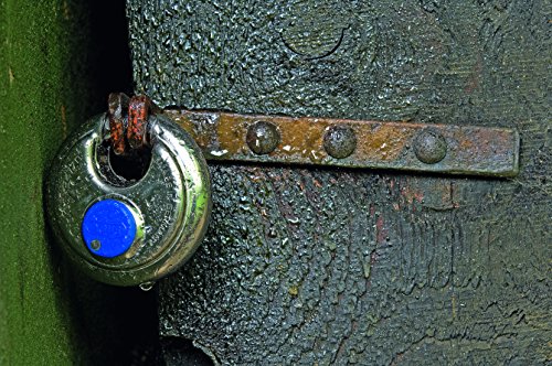 Image of ABUS 24IB /70RK B 5-pin Stainless Steel Rekeyable Diskus Padlock