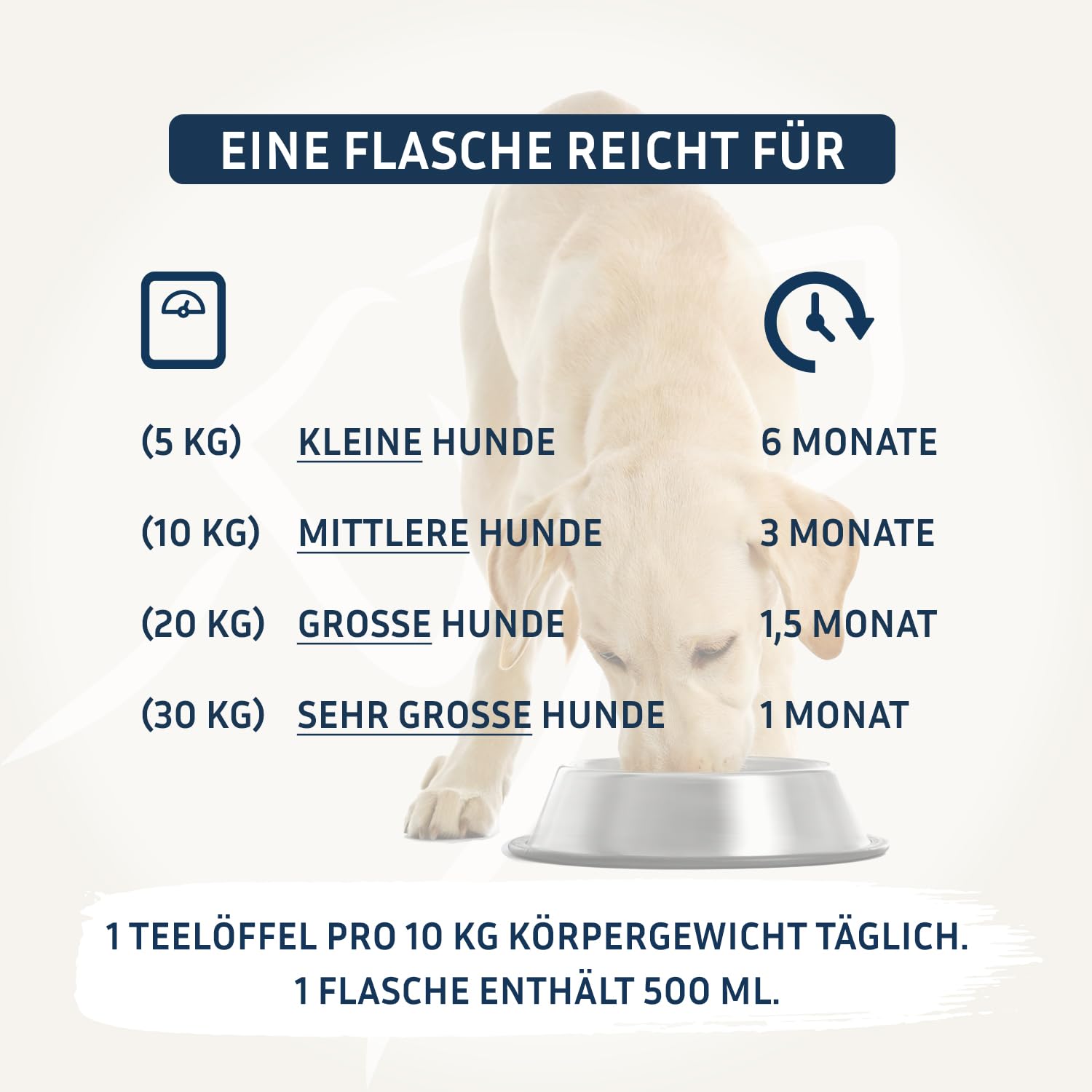 PetFokus Premium Omega 3 Lachsöl für Hunde EPA DHA Fettsäuren Flasche 500ml