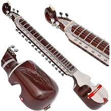 Esraj Instrument