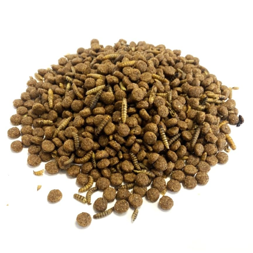 Hedgehog Food With Calciworms 200g Premium Complete Food SLW