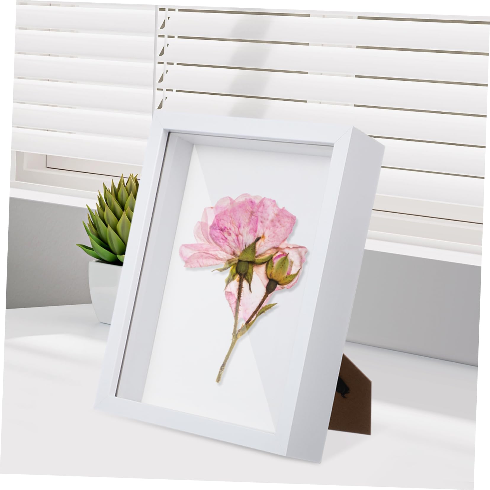 iplusmile Cornice 3d Specimen Frame Design Unico per Fiori Secchi e Foto 2 Pezzi in Legno Bianco per Ricordi di Matrimonio e Anniversari