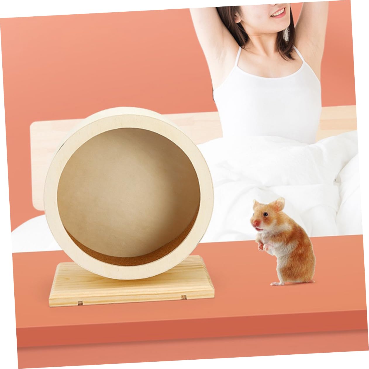 Roue d'exercice Silencieuse pour Hamster, Jouet de Sport en Bois Beige