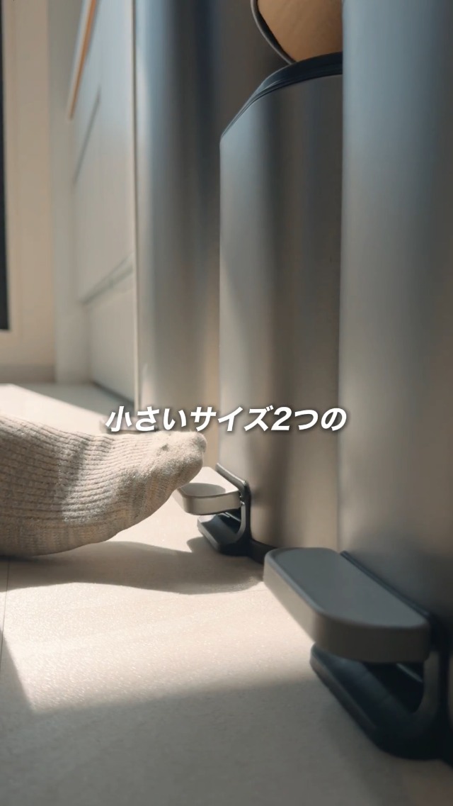 Amazon｜DEPOS デポス ゴミ箱 ステンレス ダストボックス 分別 20L×2