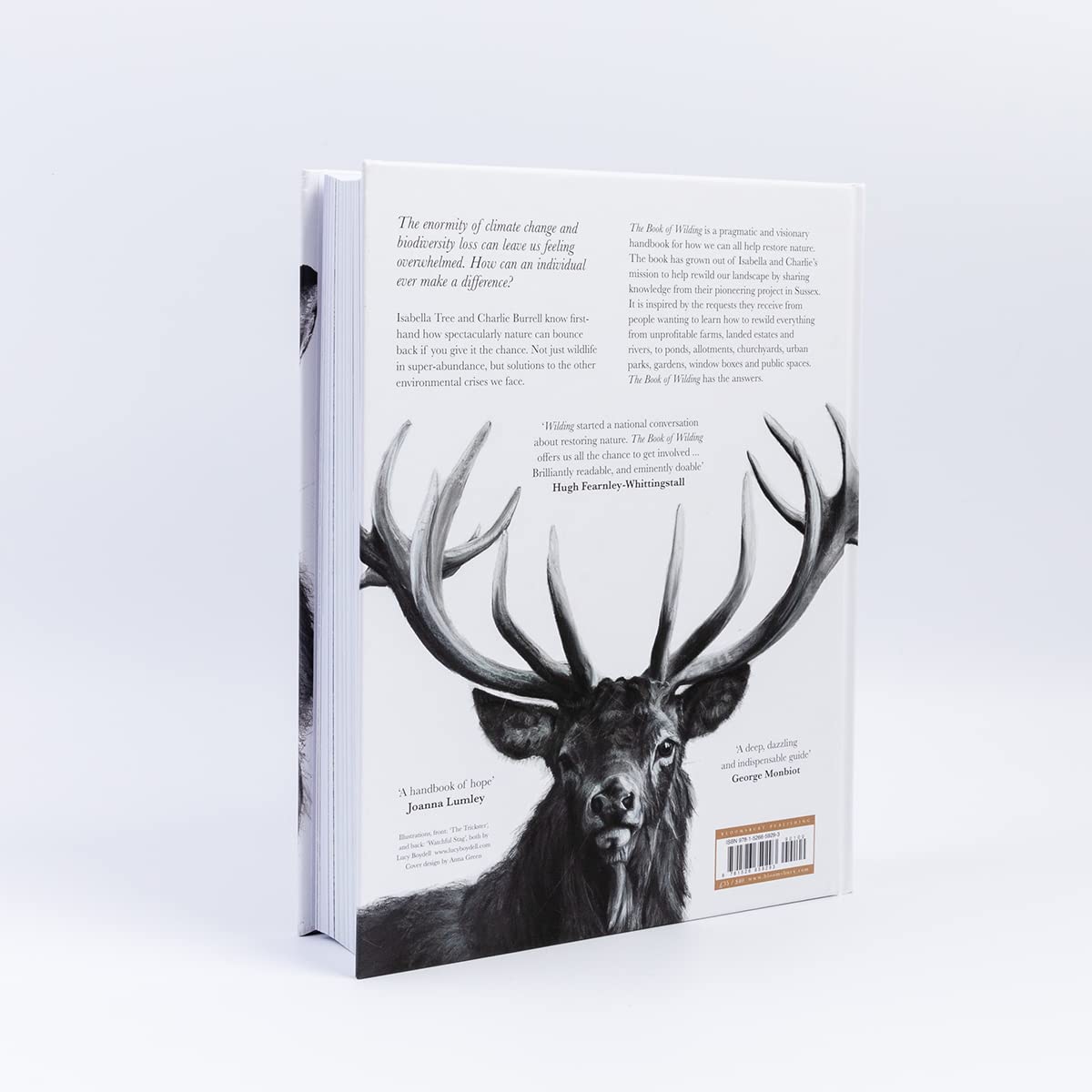 The Book of Wilding: A Practical Guide to Rewilding, Big and Small
