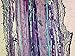 Gymnosperms Pine, Stem - Microscope Slide