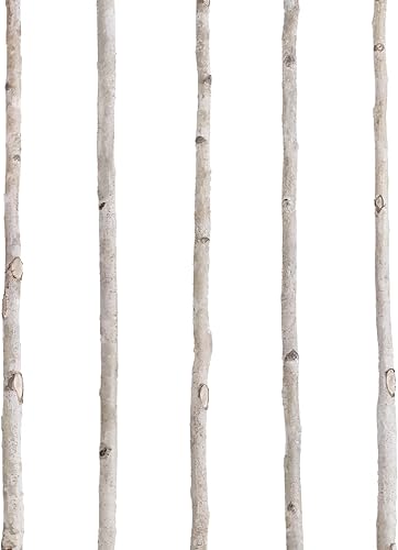 5 postes finos de abedul blanco de 4 pies, ramitas de madera natural para manualidades, ramas para decoración del hogar, suministros de bricolaje