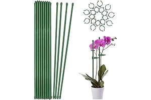 HOUNANG Garden Plant Support Stakes for Strong Plant Growth