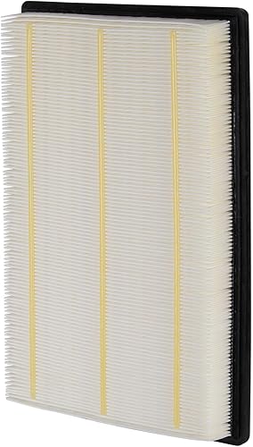 ECOGARD XA3462 Premium Filtro de Aire para motor de auto.