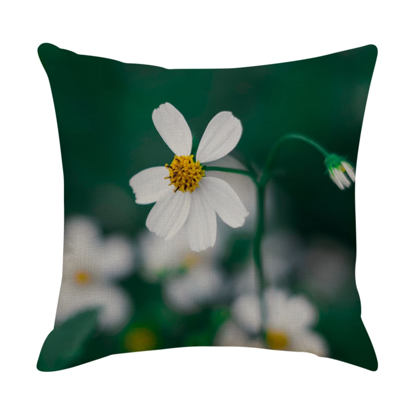 4 federe per cuscino tinta unita 50 x 50 cm, in cotone bianco, verde, bianco, motivo fiori bianchi, federa per soggiorno, divano, camera da letto