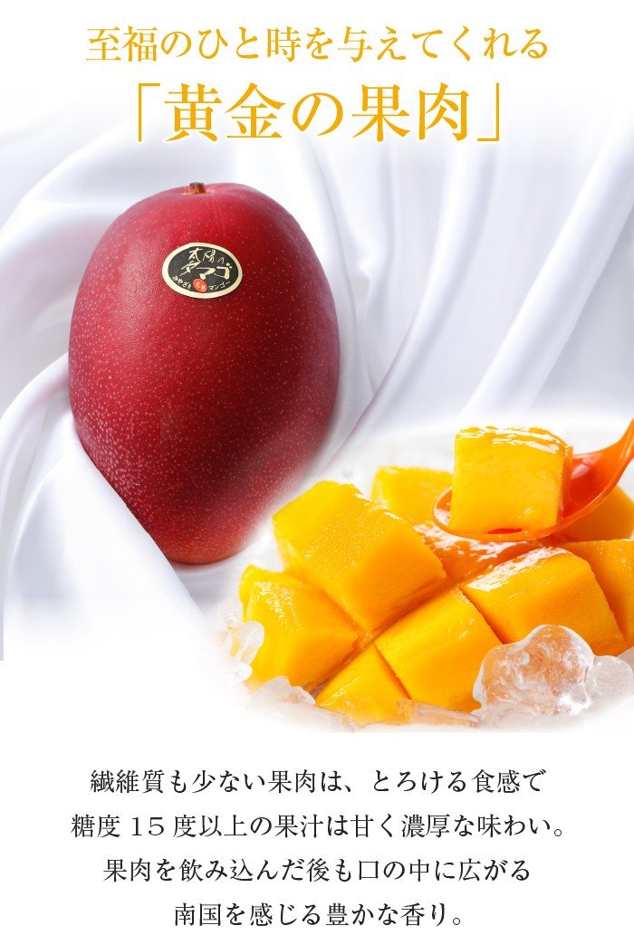 Amazon.co.jp: マンゴー 太陽のタマゴ 青秀 4L 500g以上×2玉 JA宮崎