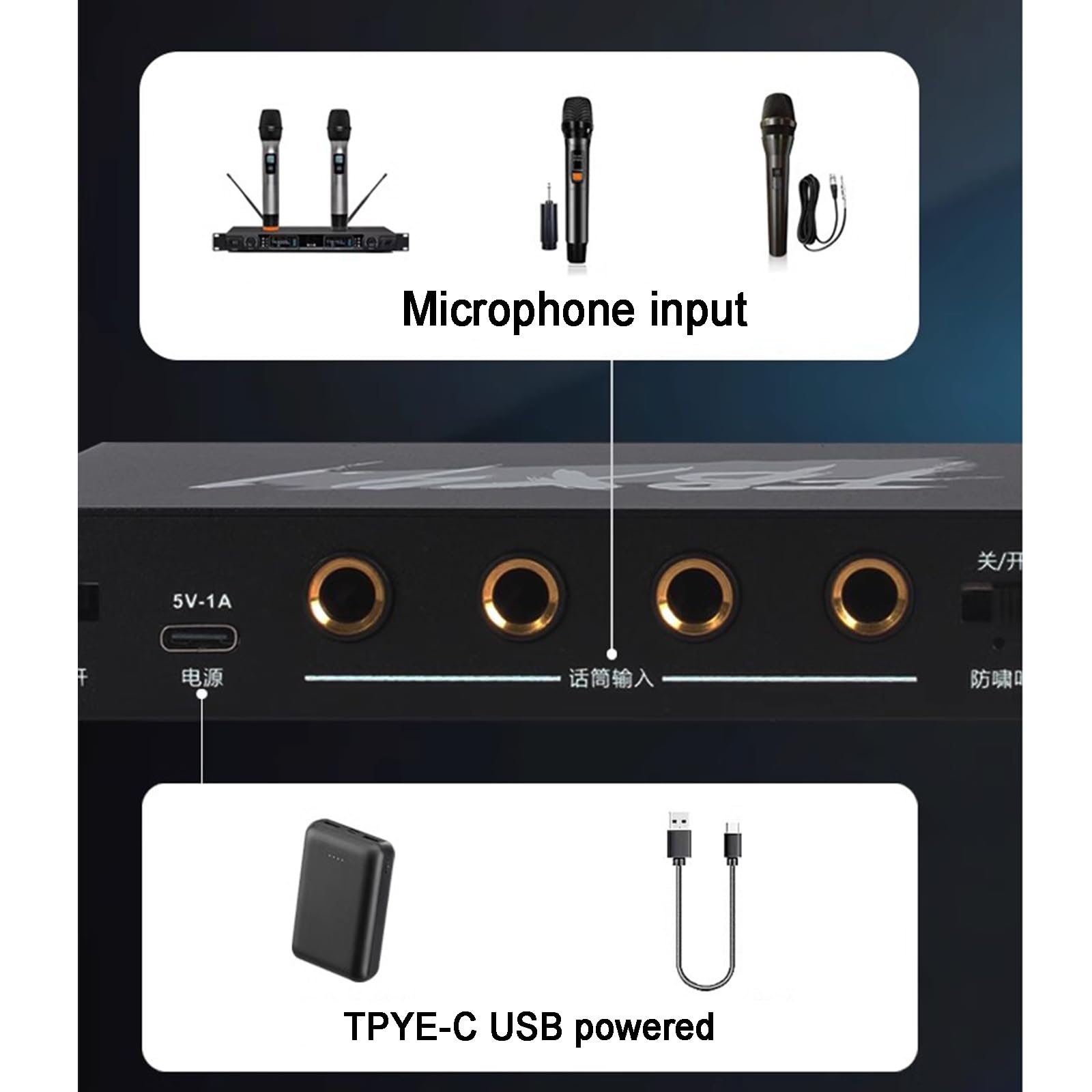 Soppressore di Feedback Professionale, 4 in 1 Uscita Microfono Feedback Frequency Shifter, Anti Ululato, Processore Audio per Matrimoni, Conferenze, Palco