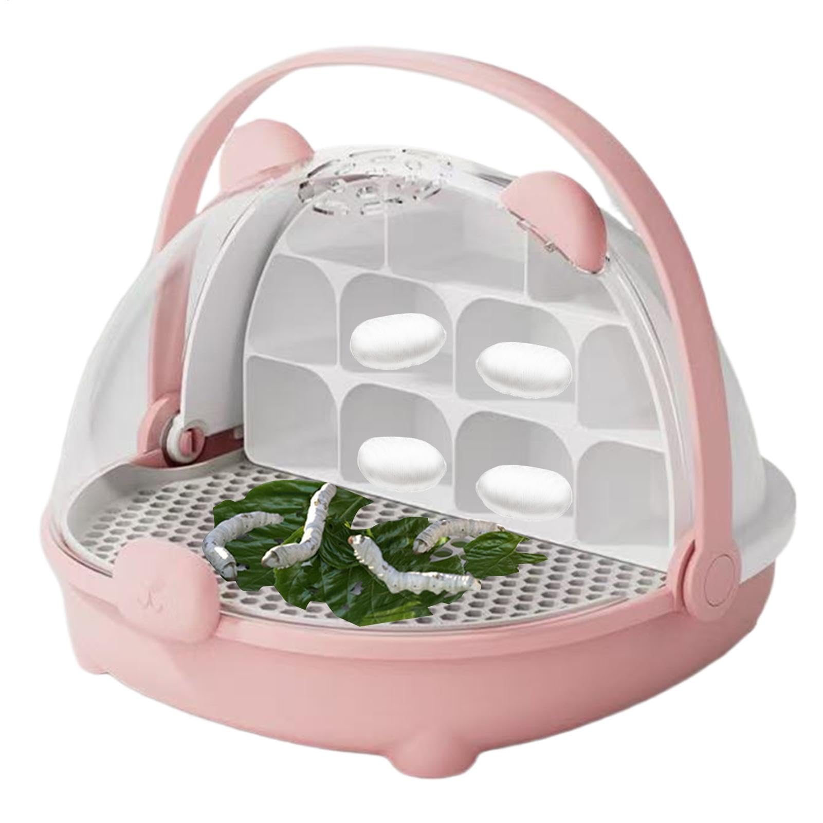 Boîte d'alimentation portable reptile pour sorties extérieures et observation