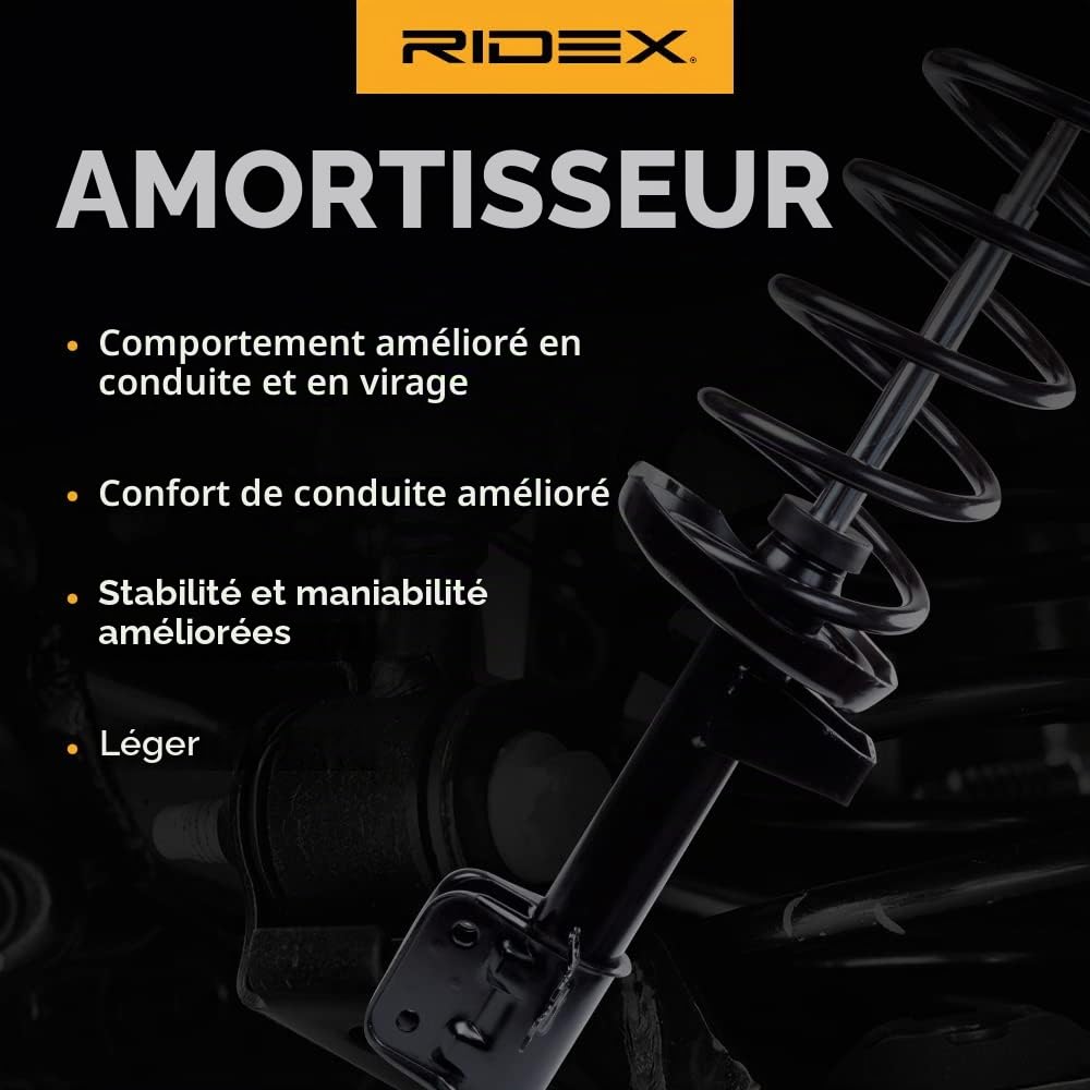RIDEX 2x Amortisseur Avant Pression de gaz Compatible avec RENAULT Scénic 3 JZ0/1 Grand Scénic 3 JZ, JZ0/1 Fluence L3 Scénic 3 VAN JZ0/1