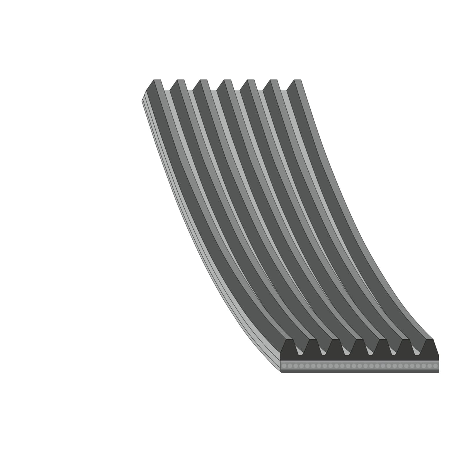 Febi Bilstein Cinghia Servizi 177663 Citan Kasten (415) 1570Mm 0,151Kg-image