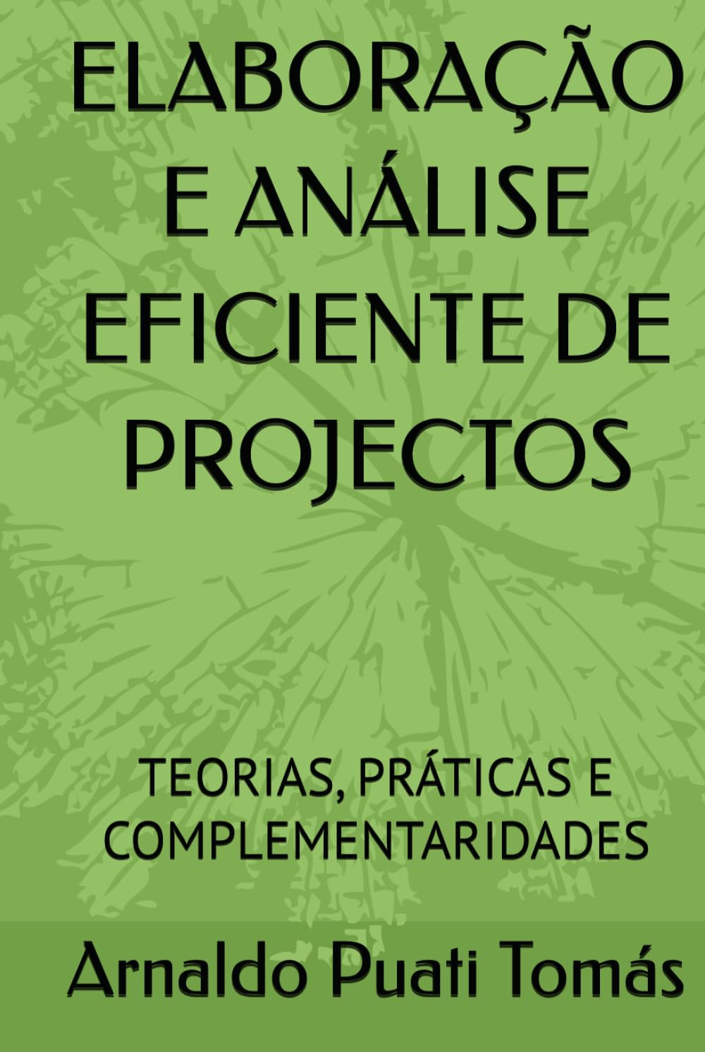 ELABORAÇÃO E ANÁLISE EFICIENTE DE PROJECTOS: TEORIAS, PRÁTICAS E COMPLEMENTARIDADES (Edições Académicas Arnaldo Puati Tomás)