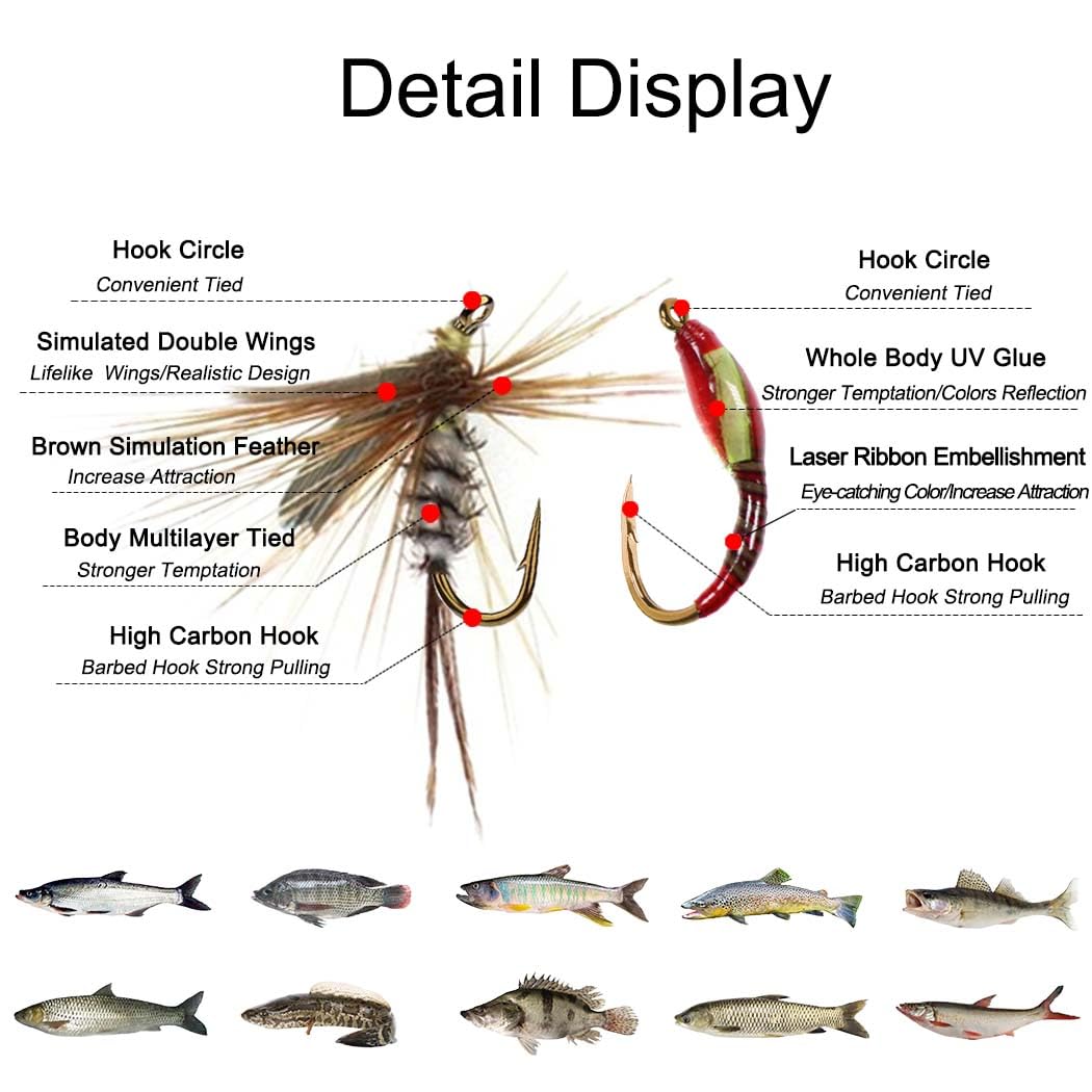 Qitewwrme Fly Fishing Fly Kit, 100 Pieces Artificial Fly Fishing Bait with  Dry/Wet Flies, Streamer, Fly Assortment Trout Fishing with Box : Amazon.de:  ...